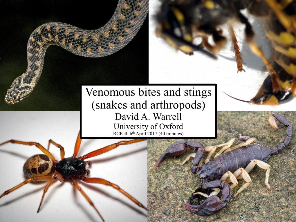 HPE Rcpath Venomous Bites and Stings (Snakes and Arthropods)