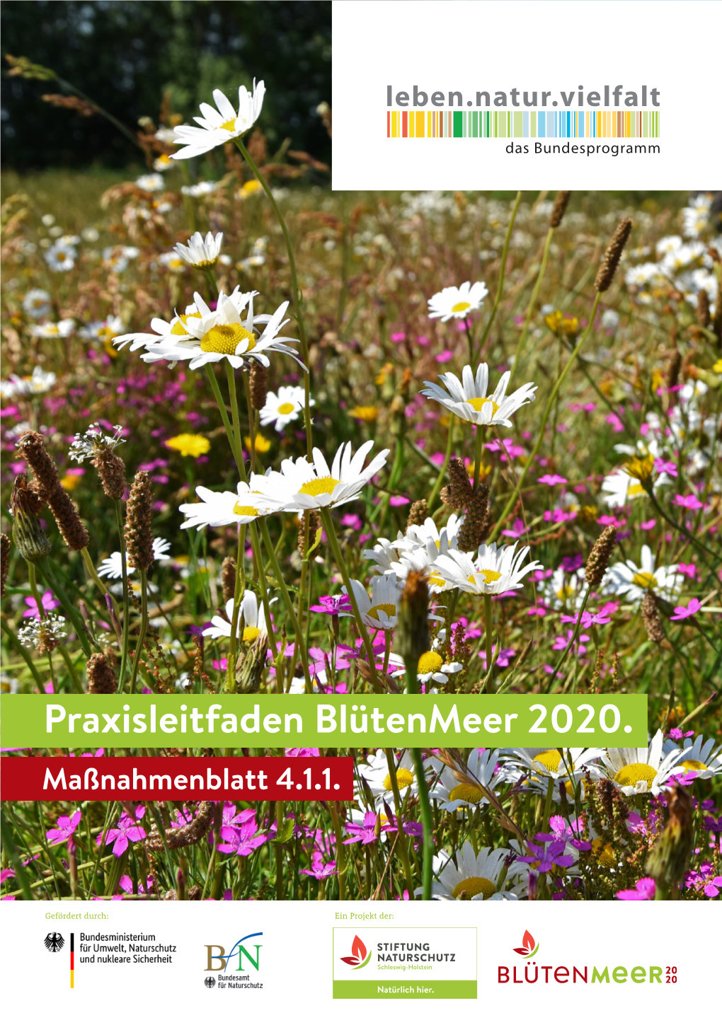 Praxisleitfaden Blütenmeer 2020. Maßnahmenblatt 4.1.1