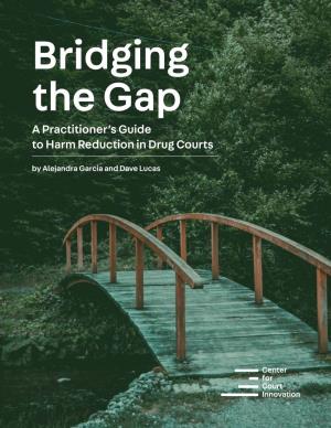 Bridging the Gap: a Practitioner's Guide to Harm Reduction in Drug