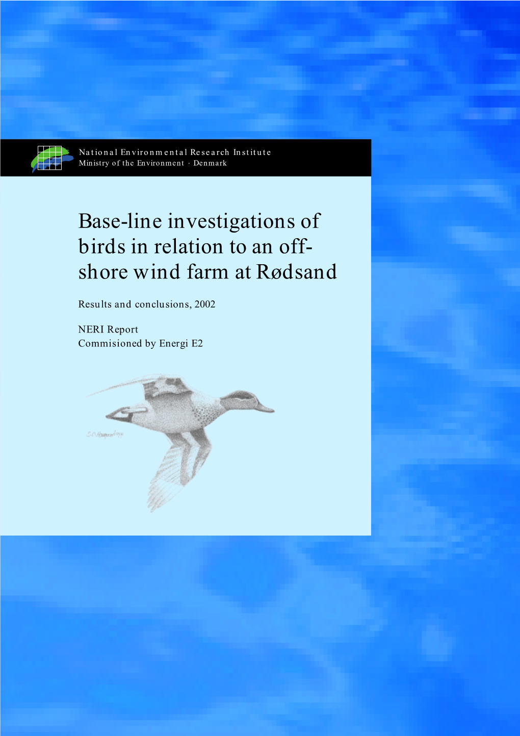 Base-Line Investigations of Birds in Relation to an Offshore Wind Farm at Rødsand. Results and Conclusions, 2002