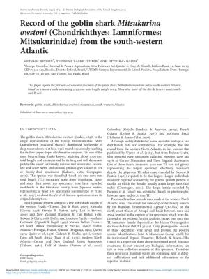 Record of the Goblin Shark Mitsukurina Owstoni (Chondrichthyes