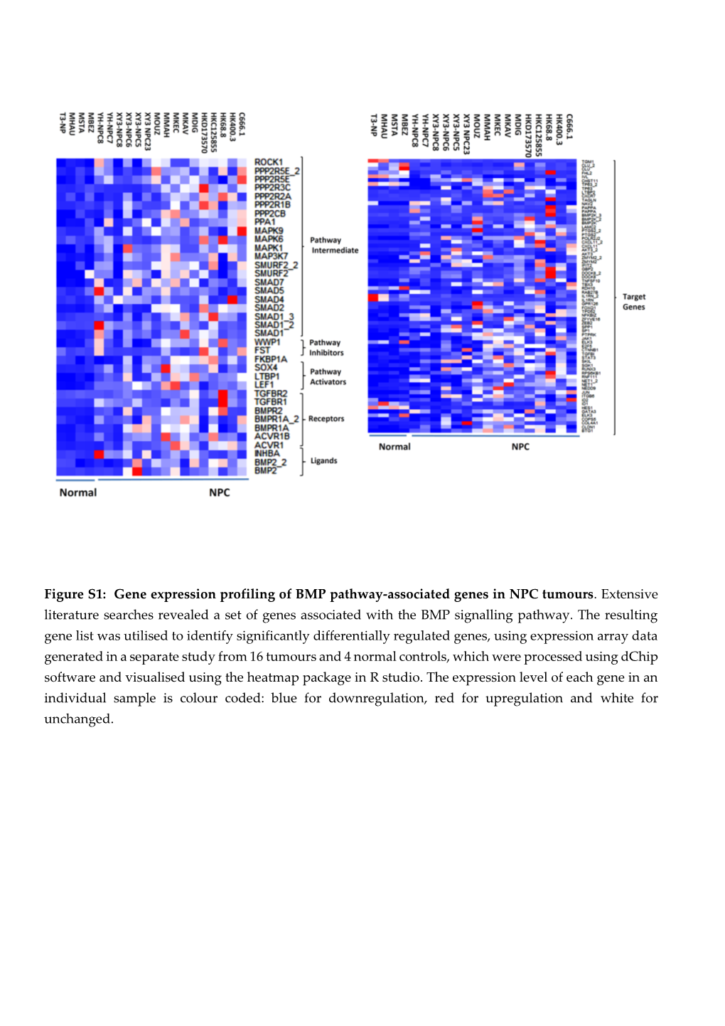 Figure S1: Gene Expression Profiling of BMP Pathway-Associated Genes in NPC Tumours