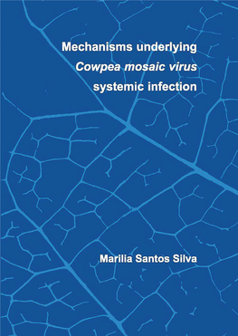 Mechanisms Underlying Cowpea Mosaic Virus Systemic Infection