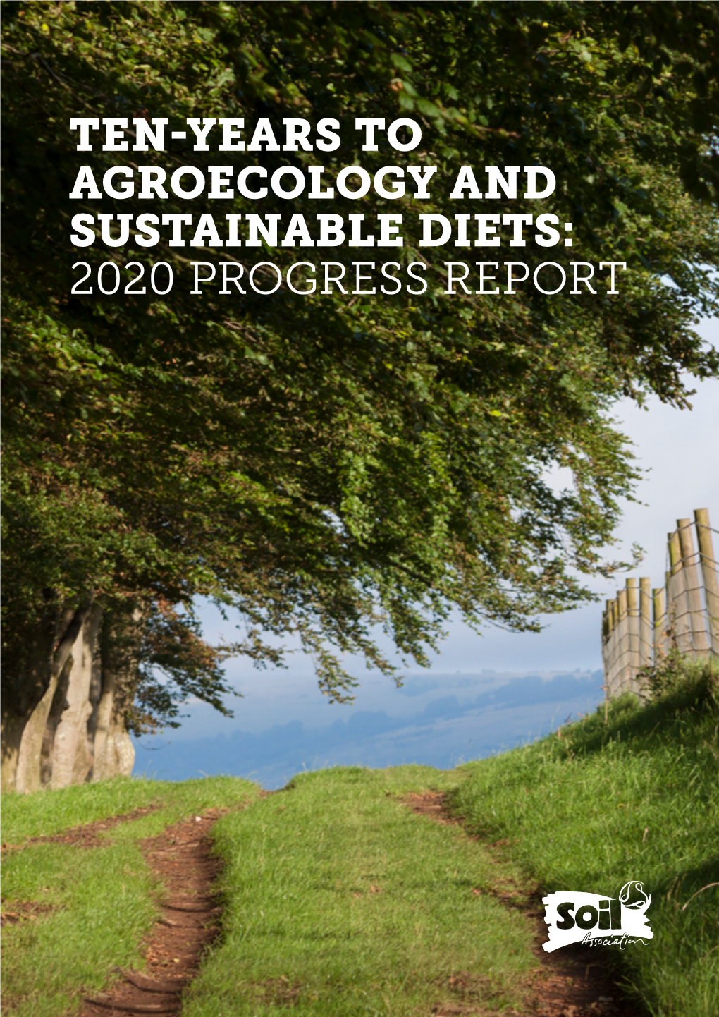 Ten-Years to Agroecology and Sustainable Diets: 2020 Progress Report