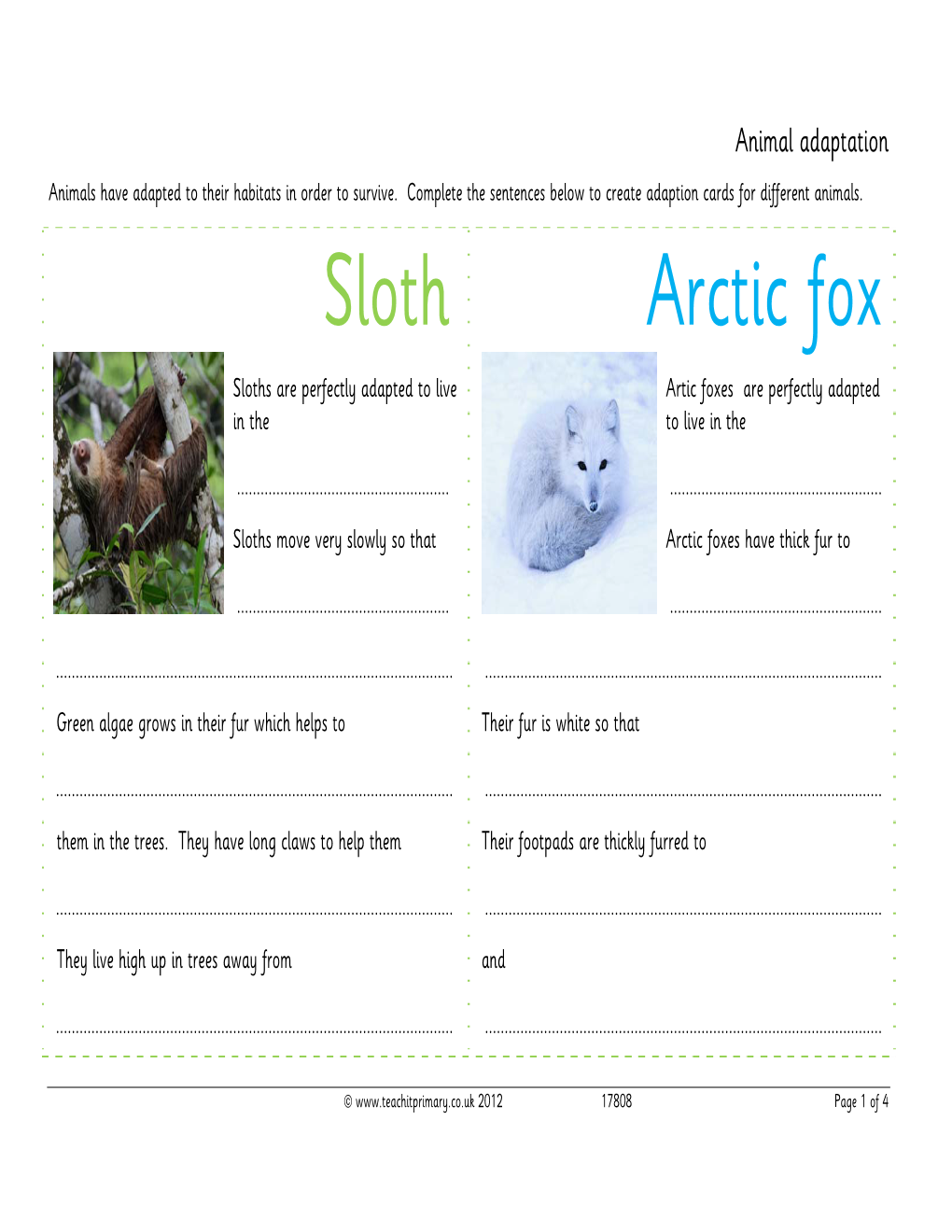 Sloth Arctic Fox