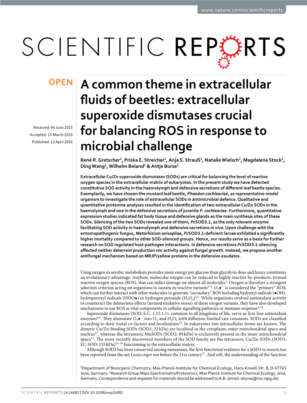 Extracellular Superoxide Dismutases Crucial for Balancing ROS in Response to Microbial Challenge
