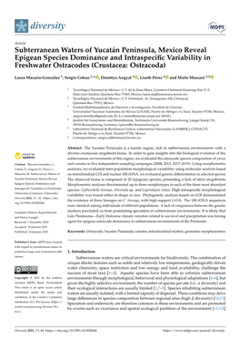 Subterranean Waters of Yucatán Peninsula, Mexico Reveal Epigean Species Dominance and Intraspeciﬁc Variability in Freshwater Ostracodes (Crustacea: Ostracoda)