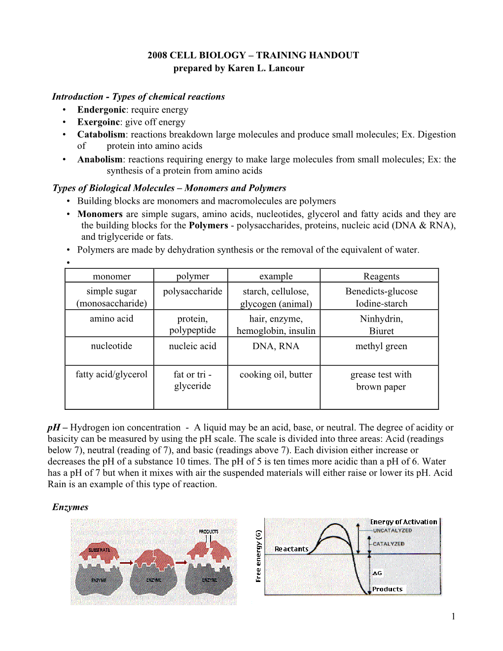 1 2008 CELL BIOLOGY – TRAINING HANDOUT Prepared by Karen L