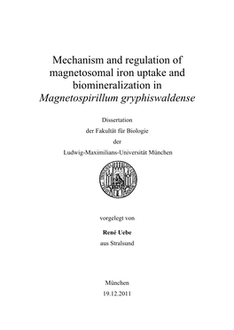 Magnetospirillum Gryphiswaldense