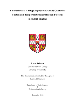 Environmental Change Impacts on Marine Calcifiers: Spatial and Temporal Biomineralisation Patterns in Mytilid Bivalves