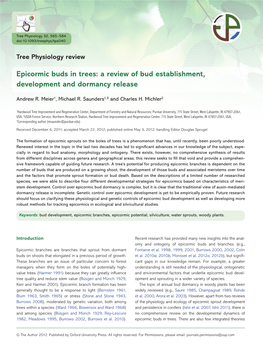 Epicormic Buds in Trees: a Review of Bud Establishment, Development and Dormancy Release