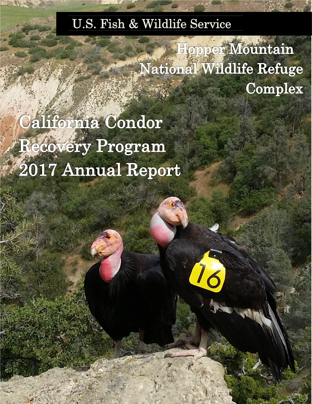 2017 California Condor Annual Report