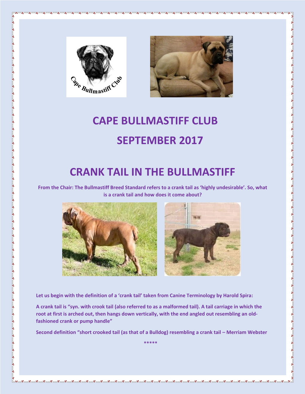 Cape Bullmastiff Club September 2017 Crank Tail In