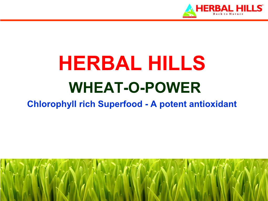 Wheatgrass-Technical-Catalogue.Pdf