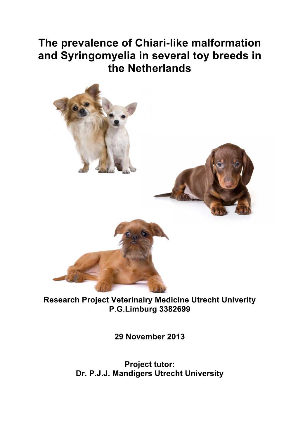 The Prevalence of Chiari-Like Malformation and Syringomyelia in Several Toy Breeds in the Netherlands