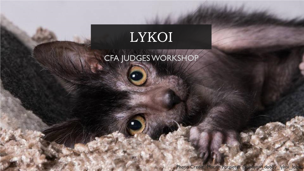 Rockefeller Lykoi