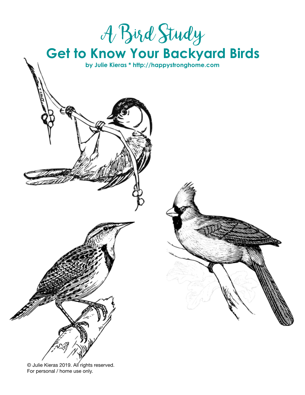 Backyard Birds Unit Plan