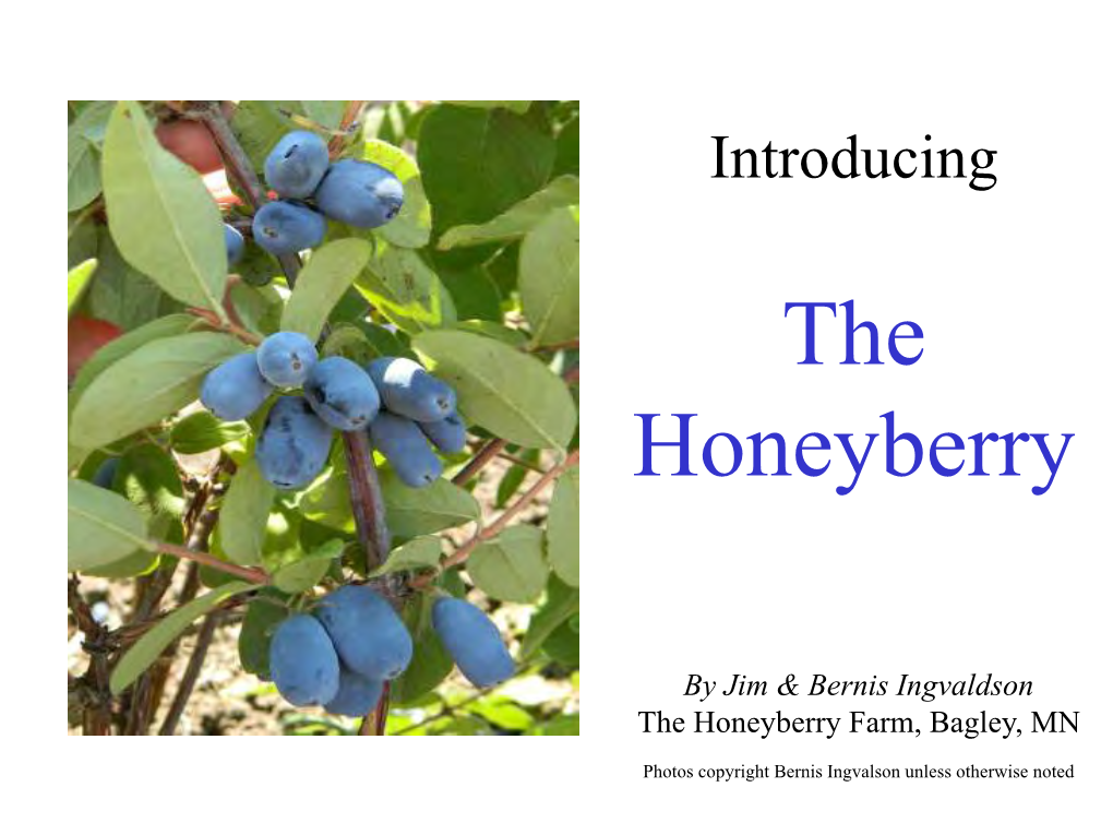 The Honeyberry