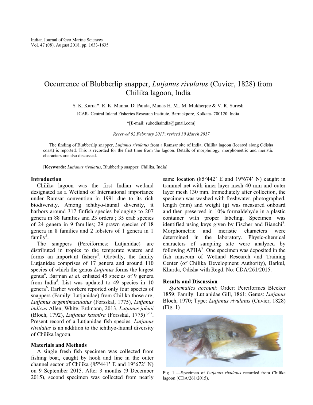 Occurrence of Blubberlip Snapper, Lutjanus Rivulatus (Cuvier, 1828) from Chilika Lagoon, India