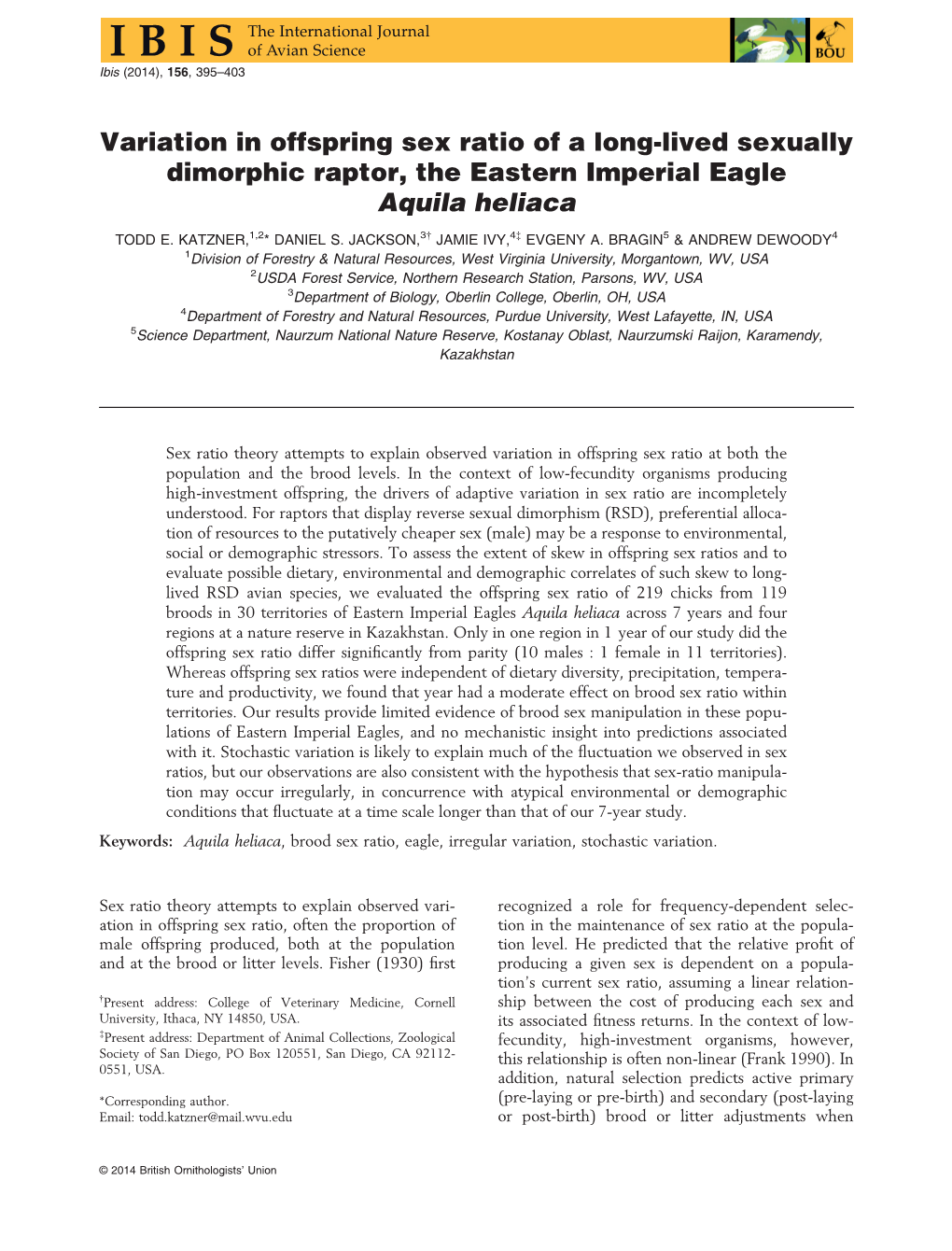 Variation in Offspring Sex Ratio of a Longlived Sexually Dimorphic Raptor