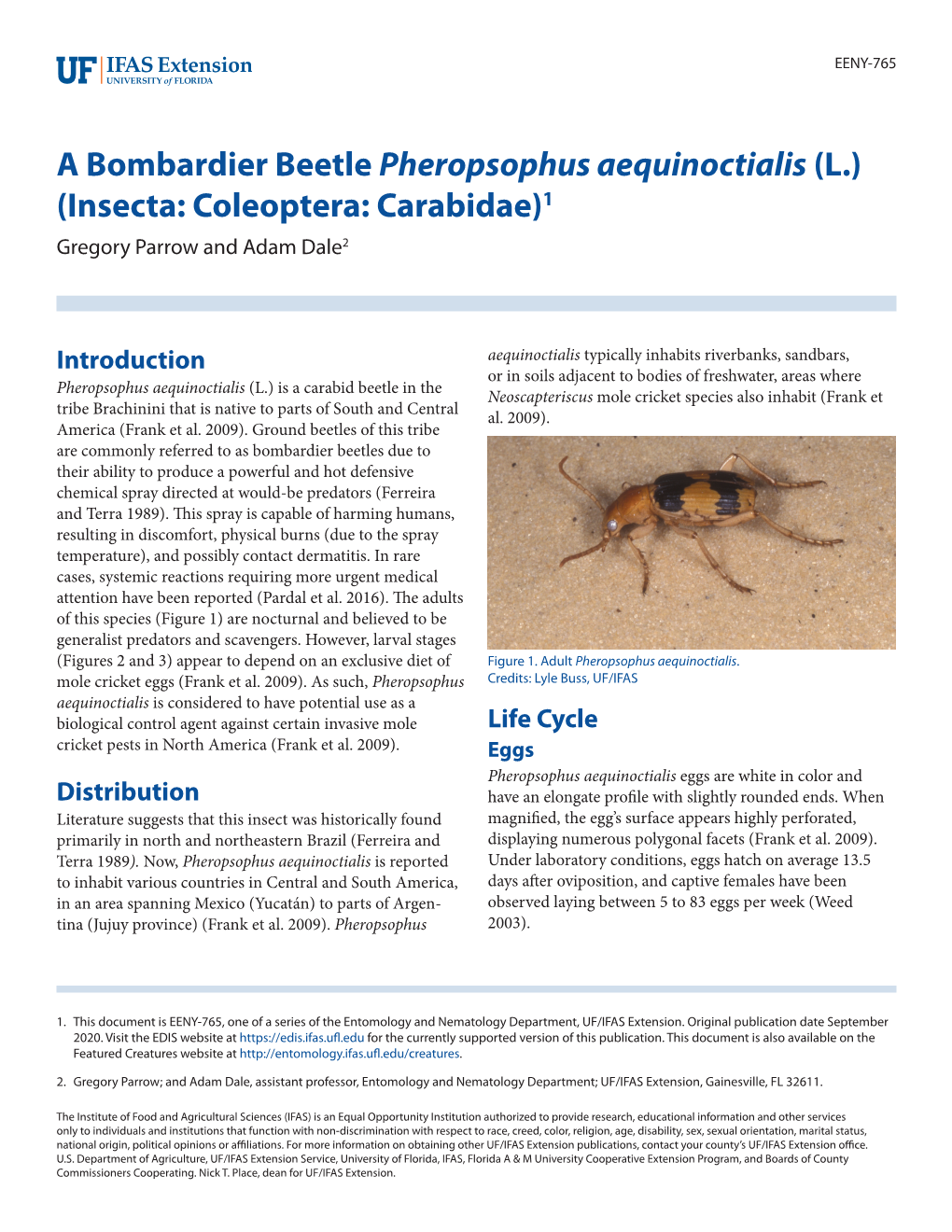 A Bombardier Beetle Pheropsophus Aequinoctialis (L.) (Insecta: Coleoptera: Carabidae)1 Gregory Parrow and Adam Dale2