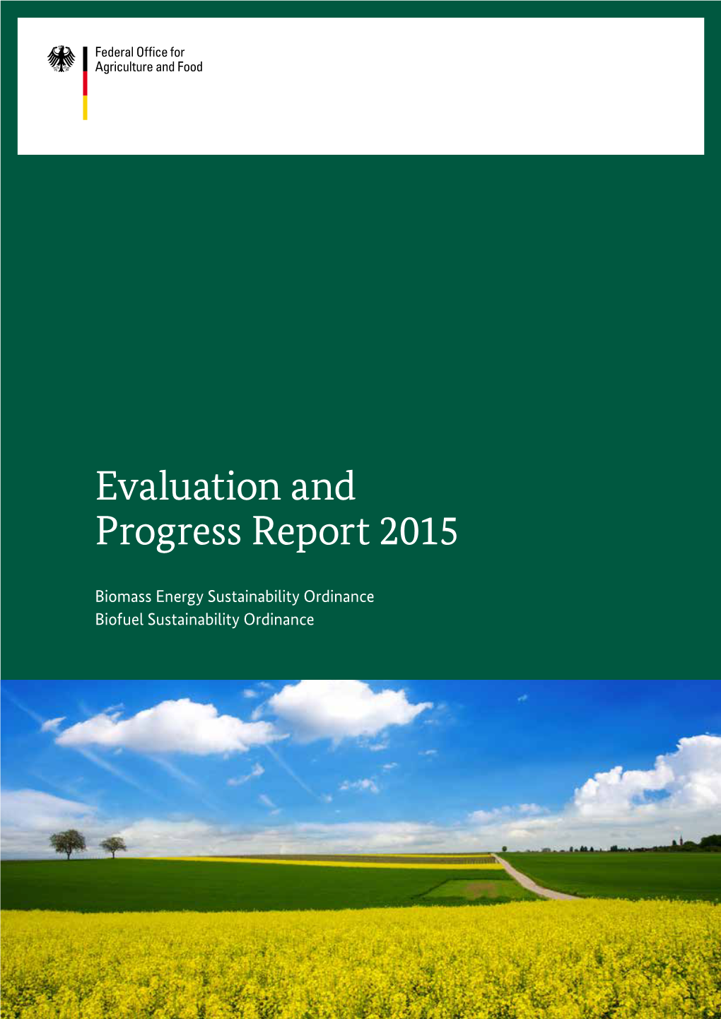 Evaluation and Progress Report 2015