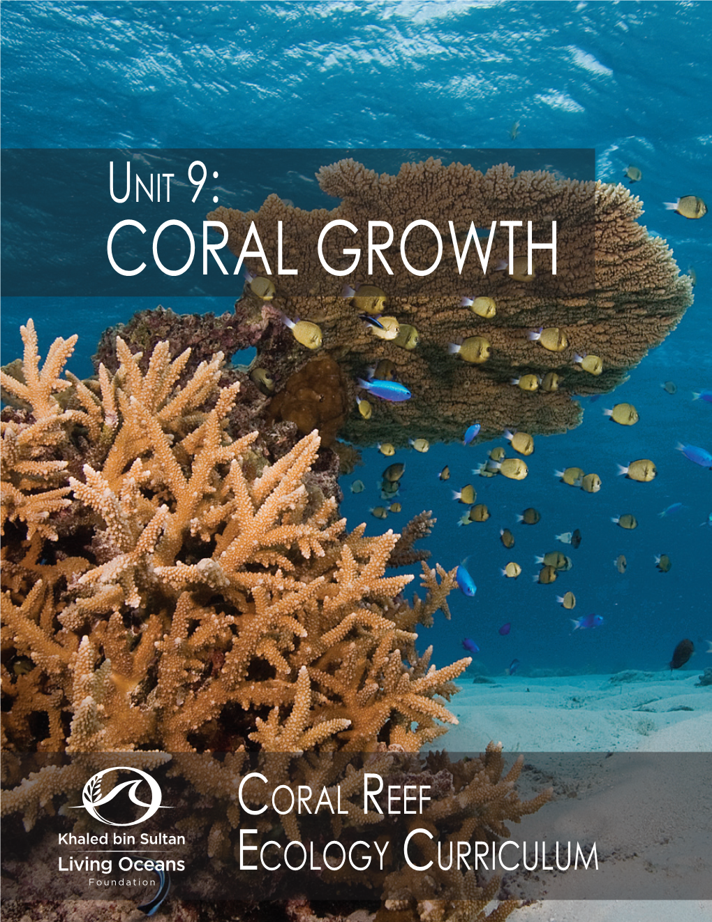 Coral Growth