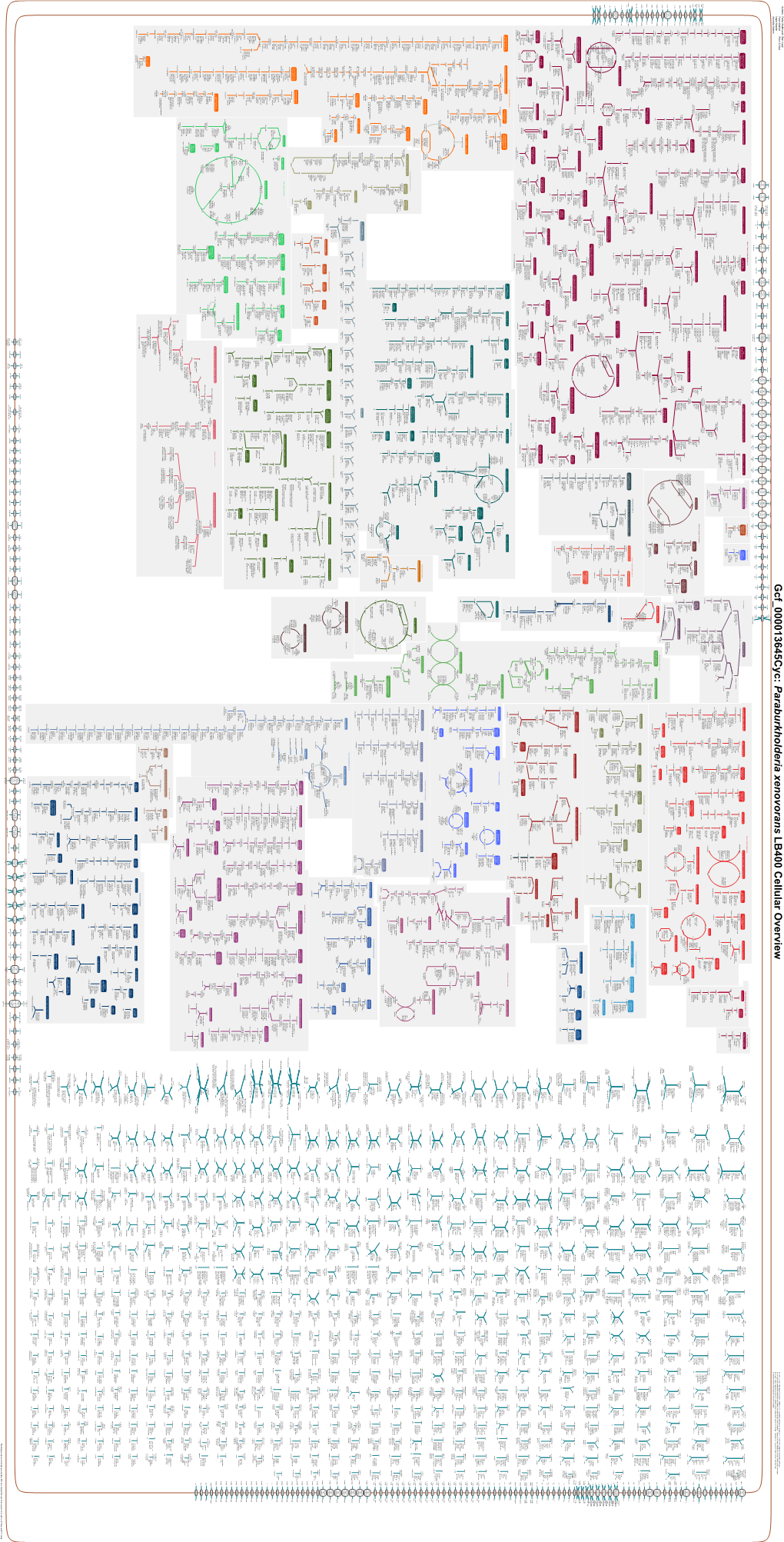 Generate Metabolic Map Poster