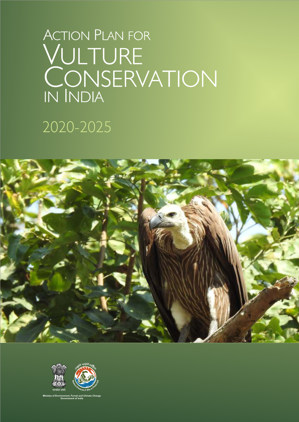 Action Plan for Vulture Conservation in India 2020-2025