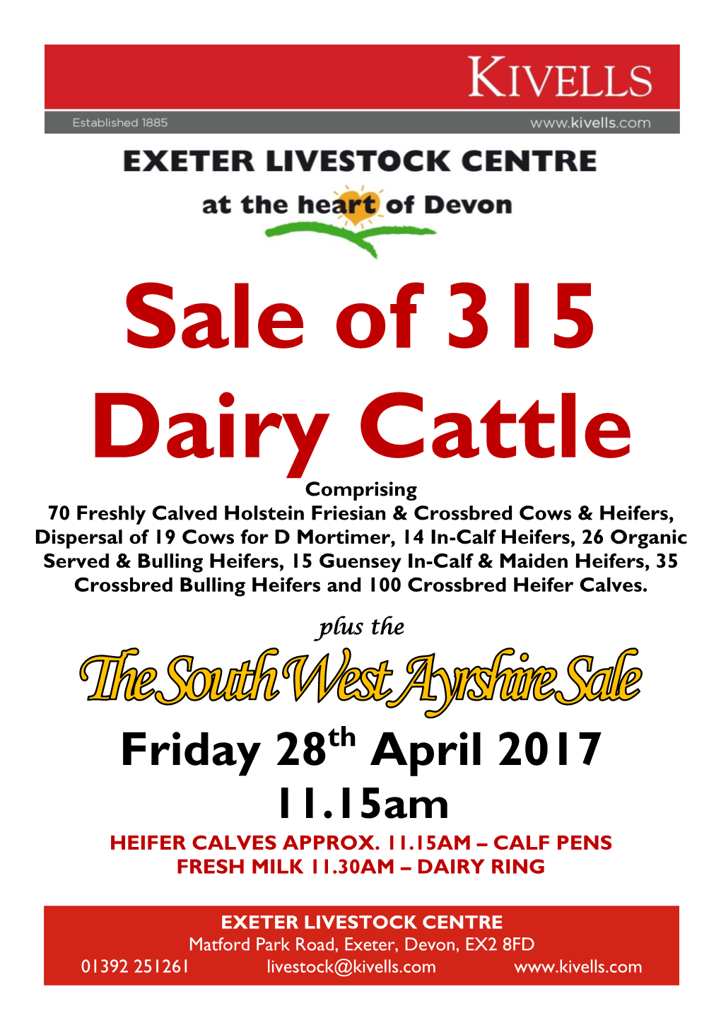 Sale of 315 Dairy Cattle