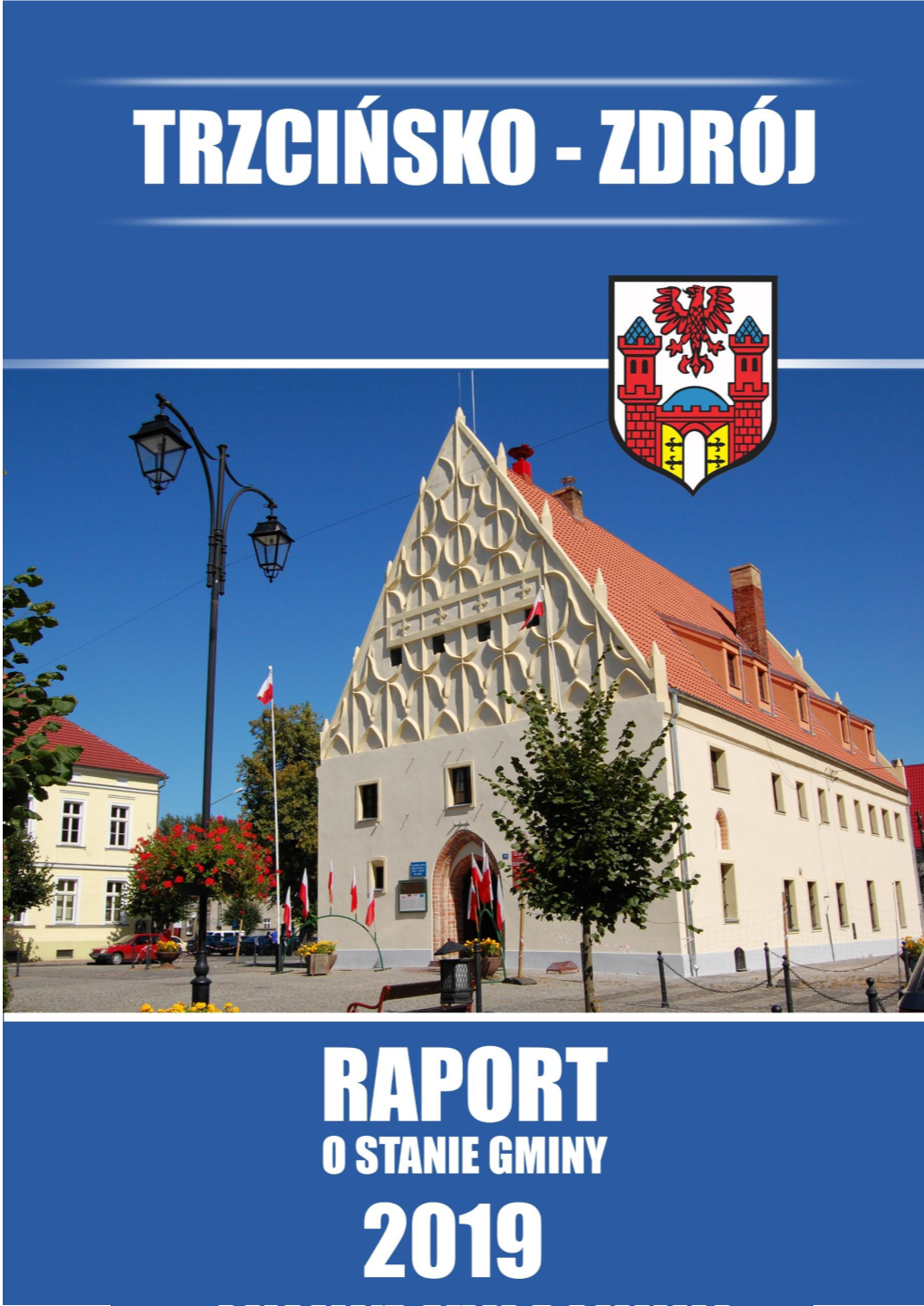 Raport O Stanie Gminy Trzcińsko- Zdrój Za Rok 2019