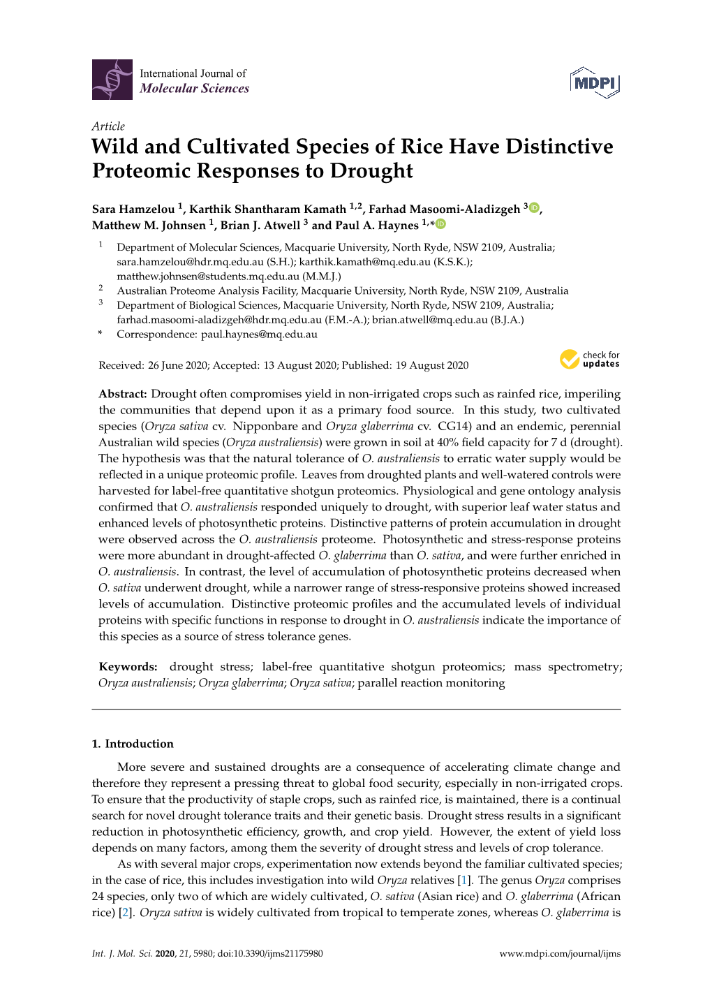 Wild and Cultivated Species of Rice Have Distinctive Proteomic Responses to Drought