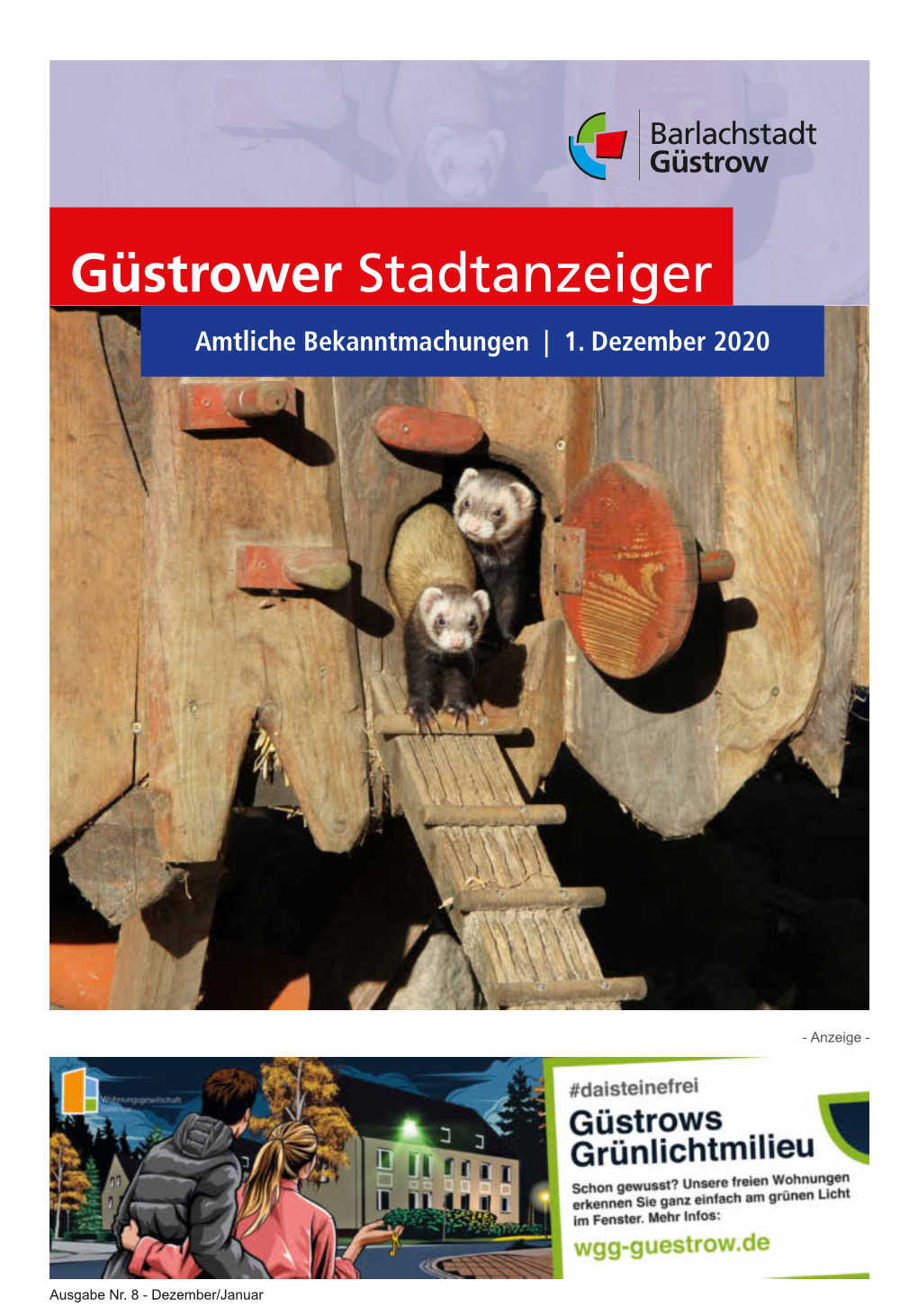 Güstrower Stadtanzeiger Amtliche Bekanntmachungen | 1