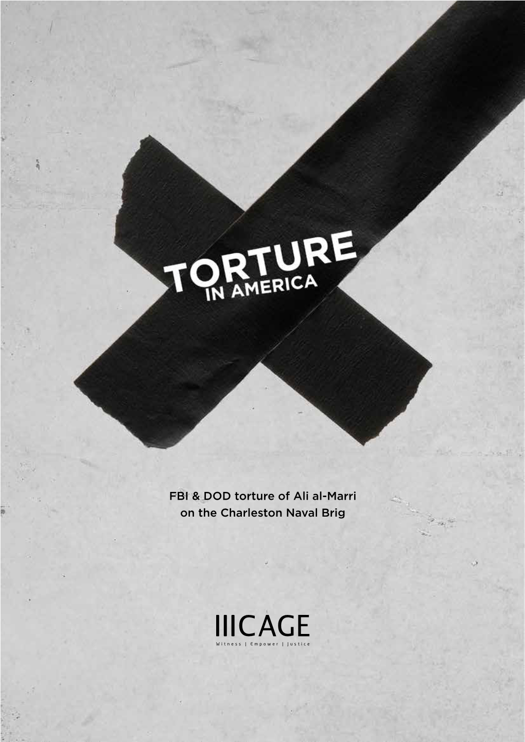Torture in America
