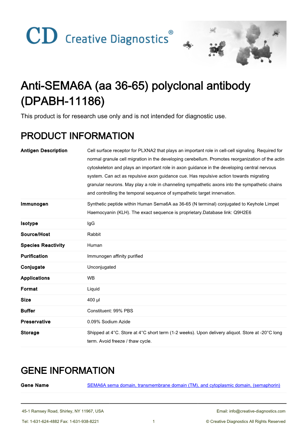 Anti-SEMA6A (Aa 36-65) Polyclonal Antibody (DPABH-11186) This Product Is for Research Use Only and Is Not Intended for Diagnostic Use