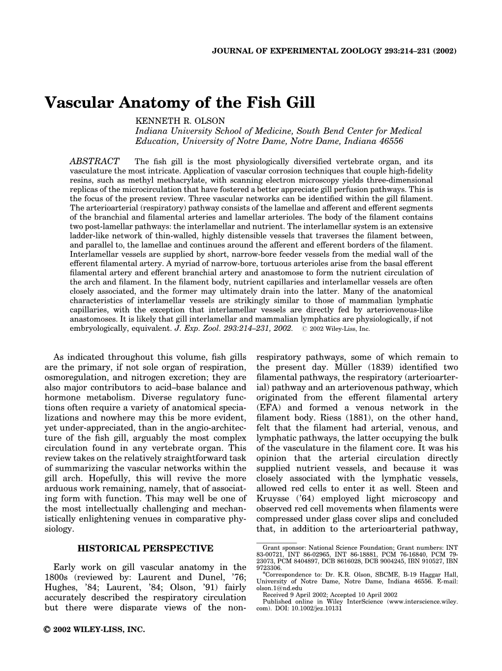 Vascular Anatomy of the Fish Gill KENNETH R