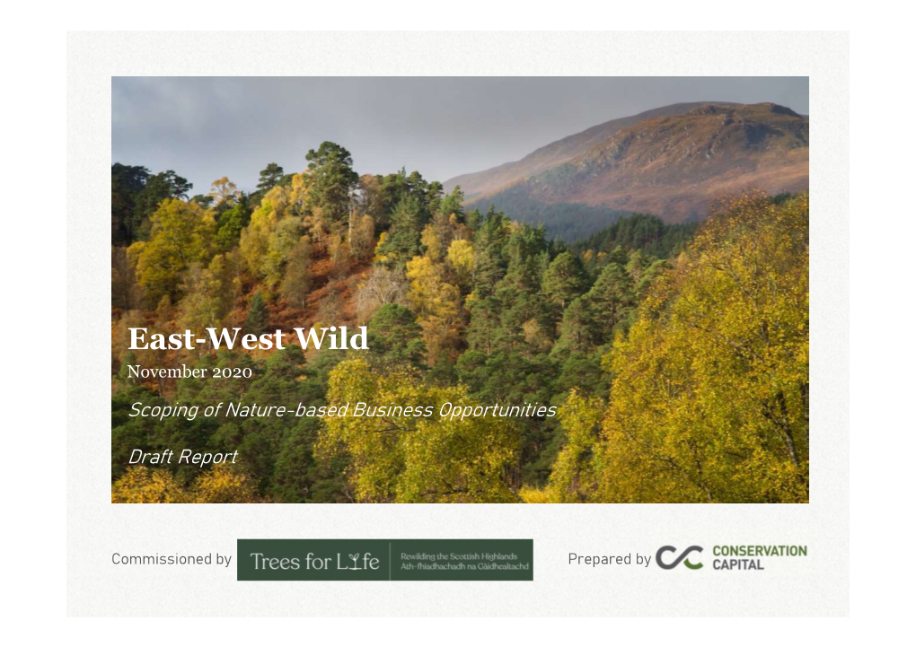 East-West Wild November 2020