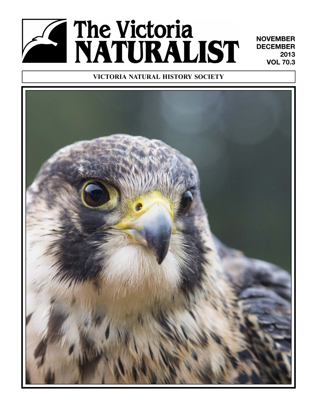 November December 2013 Vol 70.3 Victoria Natural History Society