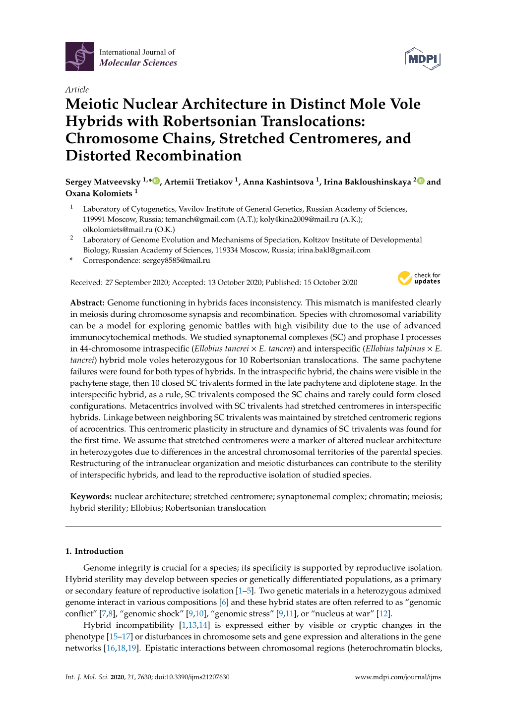 Meiotic Nuclear Architecture in Distinct Mole Vole Hybrids with Robertsonian Translocations: Chromosome Chains, Stretched Centromeres, and Distorted Recombination