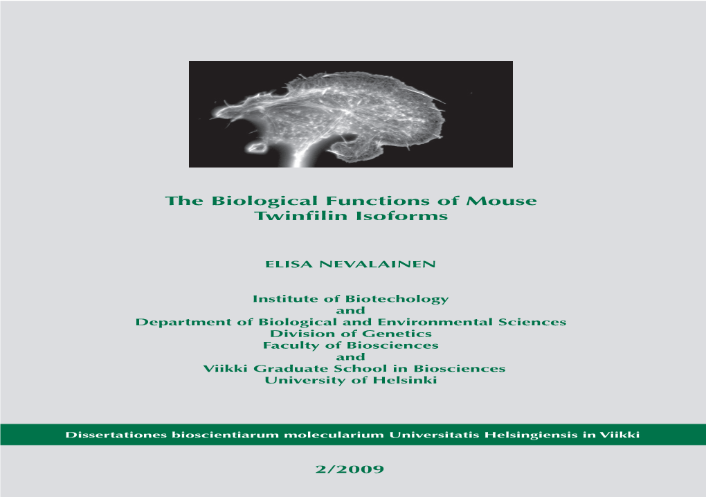 The Biological Functions of Mouse Twinfilin Isoforms