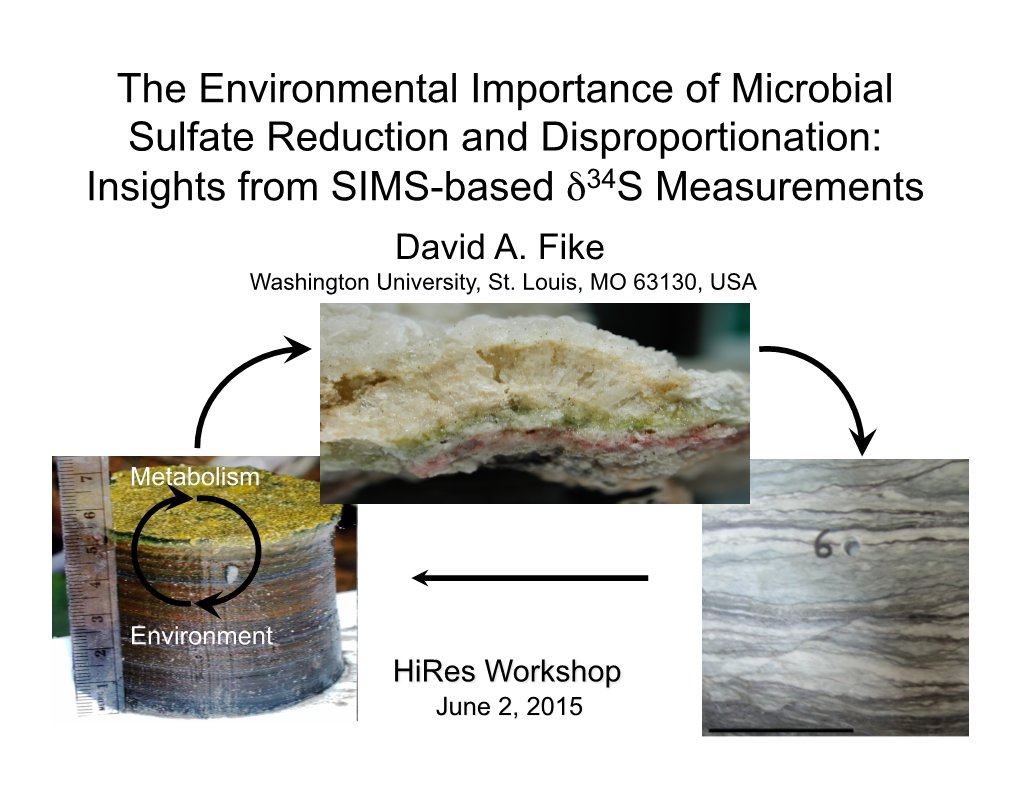 The Environmental Importance of Microbial Sulfate Reduction and Disproportionation: Insights from SIMS-Based Δ34s Measurements David A