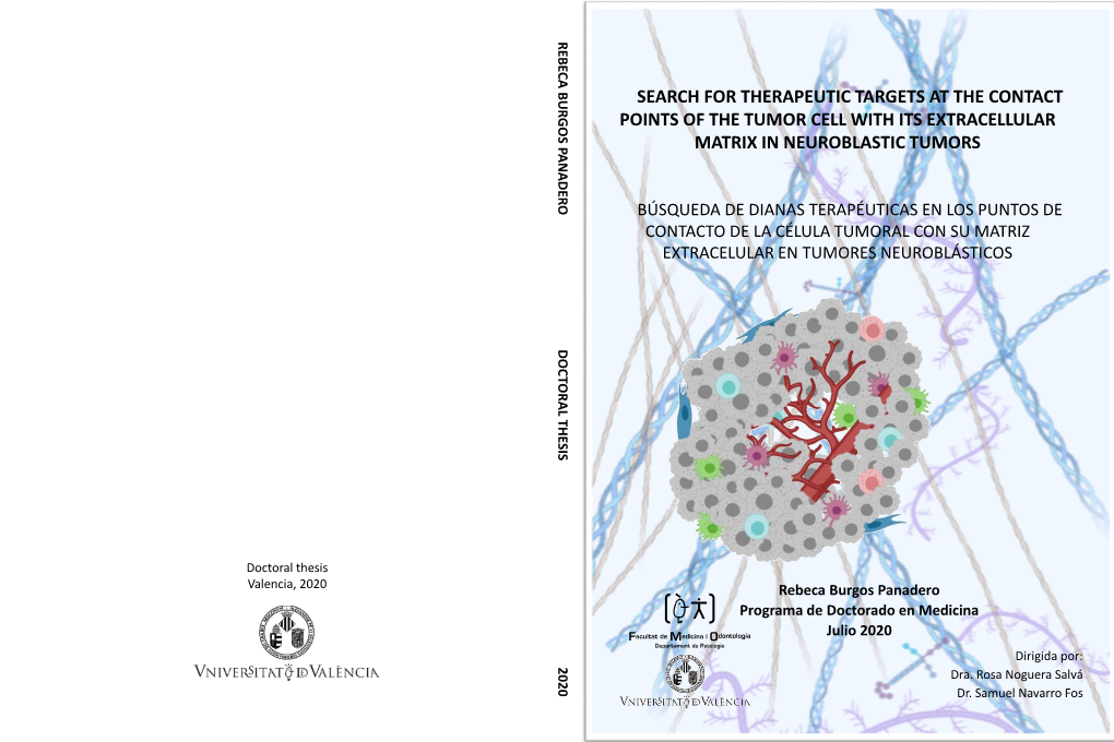 Search for Therapeutic Targets at the Contact Points of the Tumor Cell with Its Extracellular Matrix in Neuroblastic Tumors