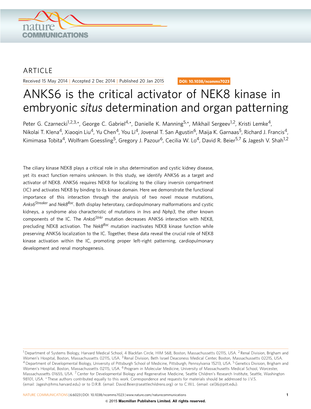 ANKS6 Is the Critical Activator of NEK8 Kinase in Embryonic Situs Determination and Organ Patterning