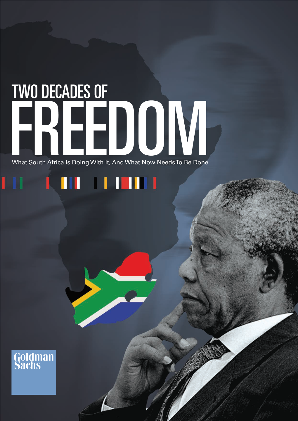 Two Decades of Freedom: What South Africa Is Doing