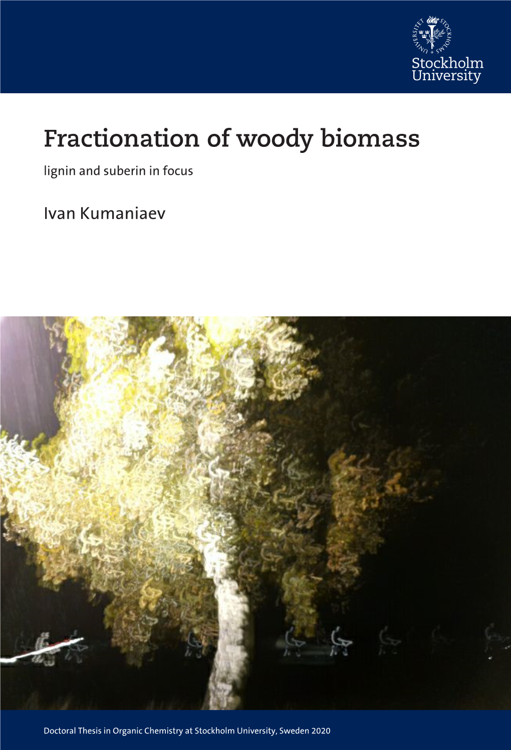 Fractionation of Woody Biomass