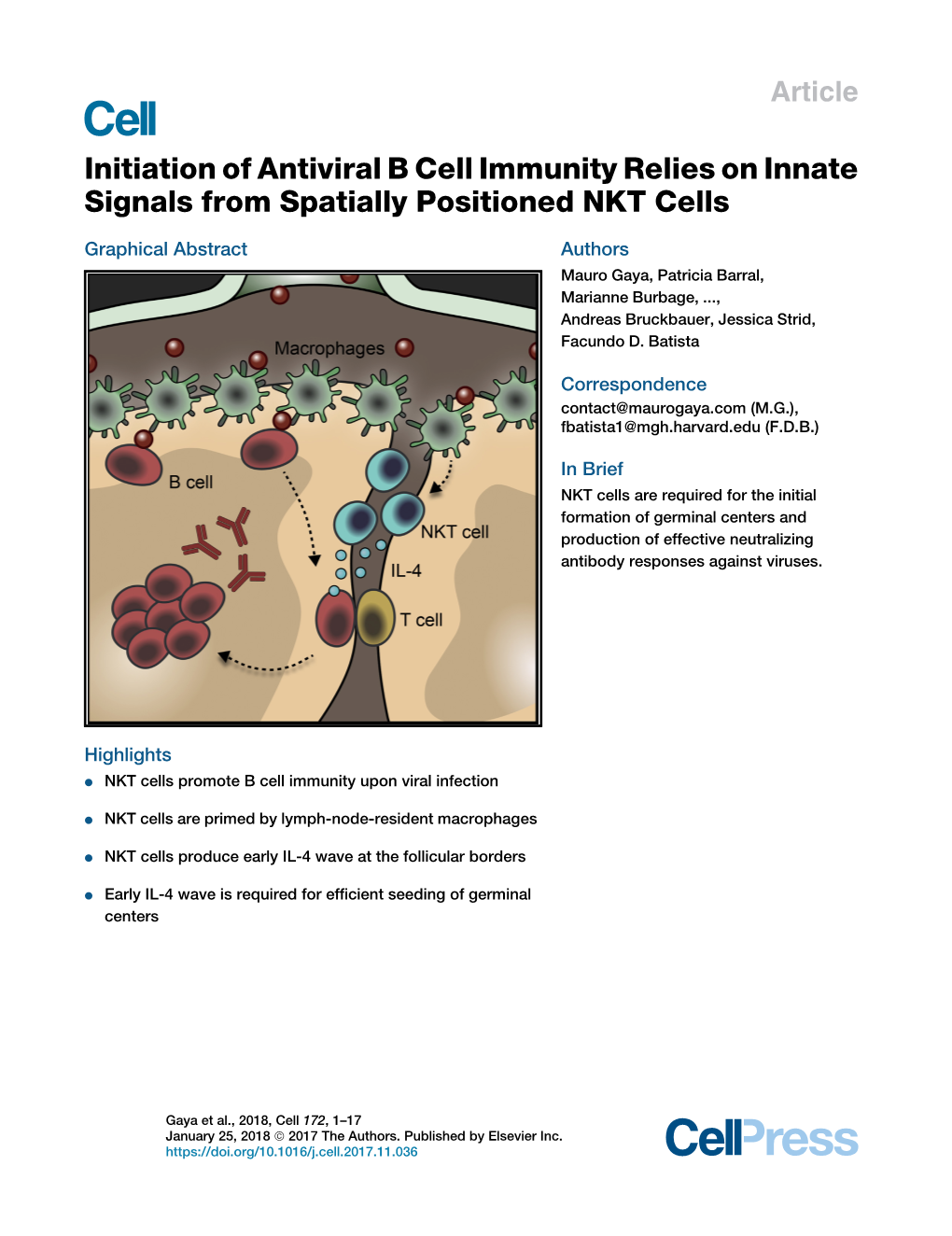 Initiation of Antiviral B Cell Immunity Relies on Innate Signals from Spatially Positioned NKT Cells