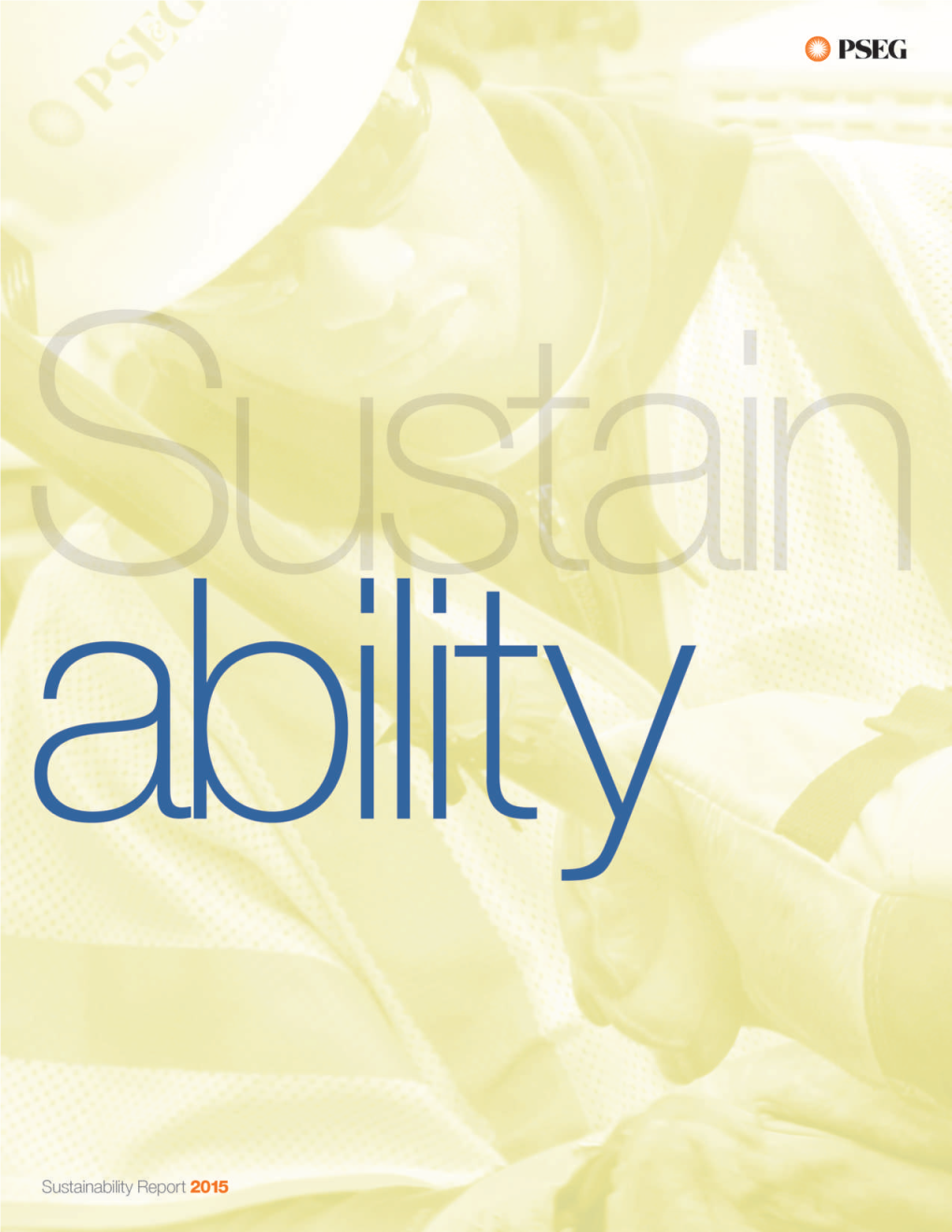 Sustainability Report That Updates Our Progress Company of Toward This Goal in the Previous Year
