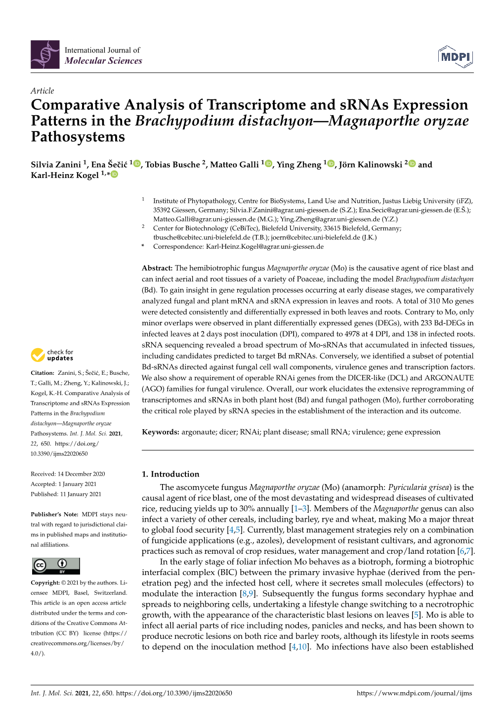 Comparative Analysis of Transcriptome and Srnas Expression Patterns in the Brachypodium Distachyon—Magnaporthe Oryzae Pathosystems