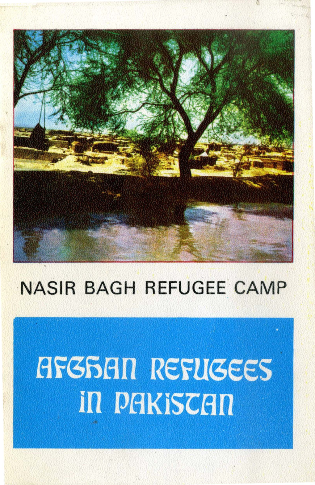 ·Nasir Bagh Refugee. Camp Nasir Bagh Refugee Camp Nasir Bagh Refugee Camp