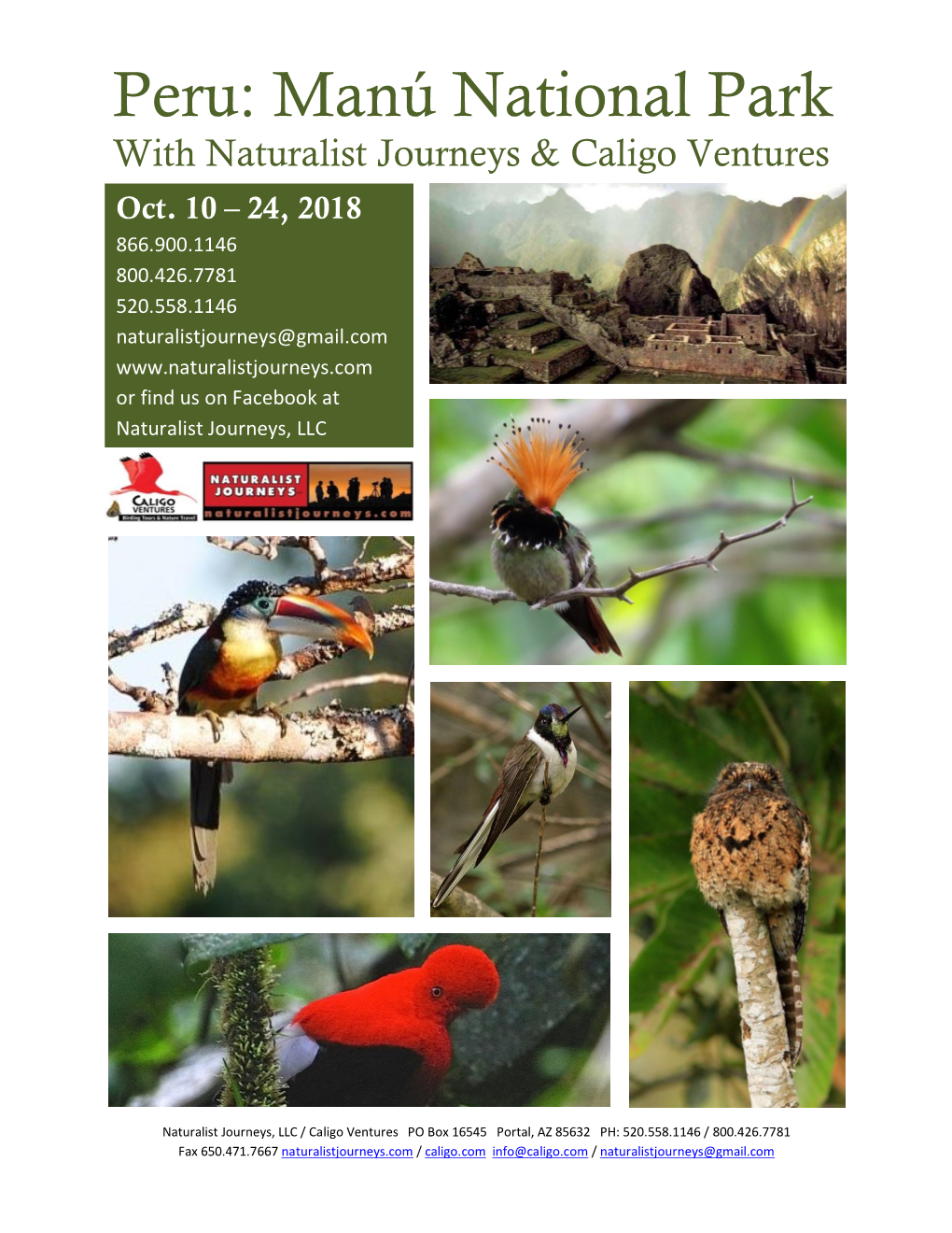 Peru: Manú National Park with Naturalist Journeys & Caligo Ventures